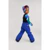 Image REIMA ReimaTec winter pants Alppi (104-140) Blue (5100051B-6900/Blue)