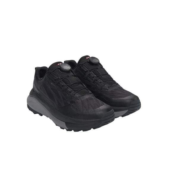 Изображение VIKING Anaconda Hike Low GTX BOA Треккинговая обувь цвет Черный (3-53875/2)VIKING